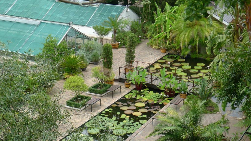 Themed Gardens & Greenhouses