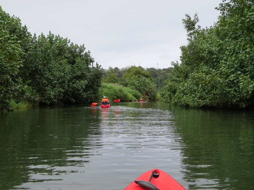 Hanalei River Kayaking