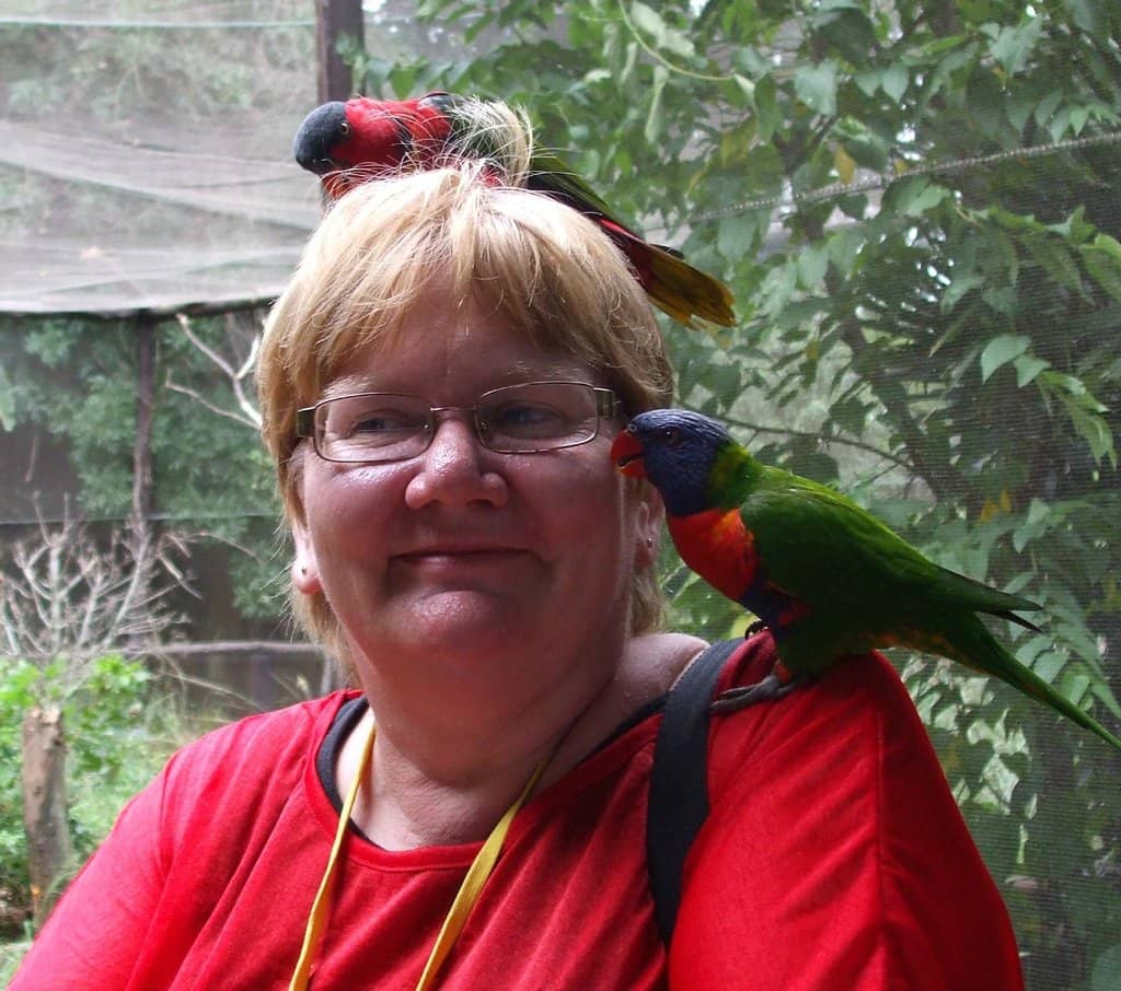 Interactive Bird Encounters