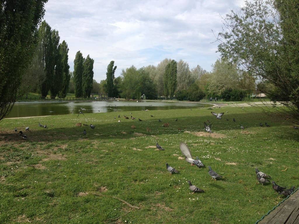 Playgrounds & Fitness Areas