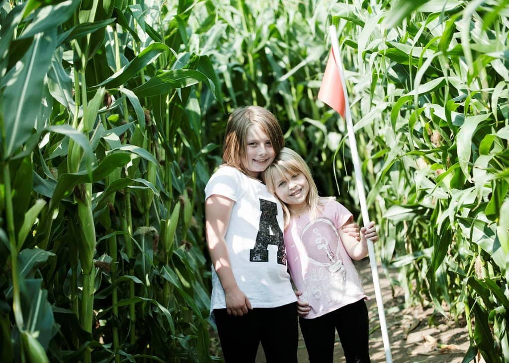 Screamfest Halloween Event