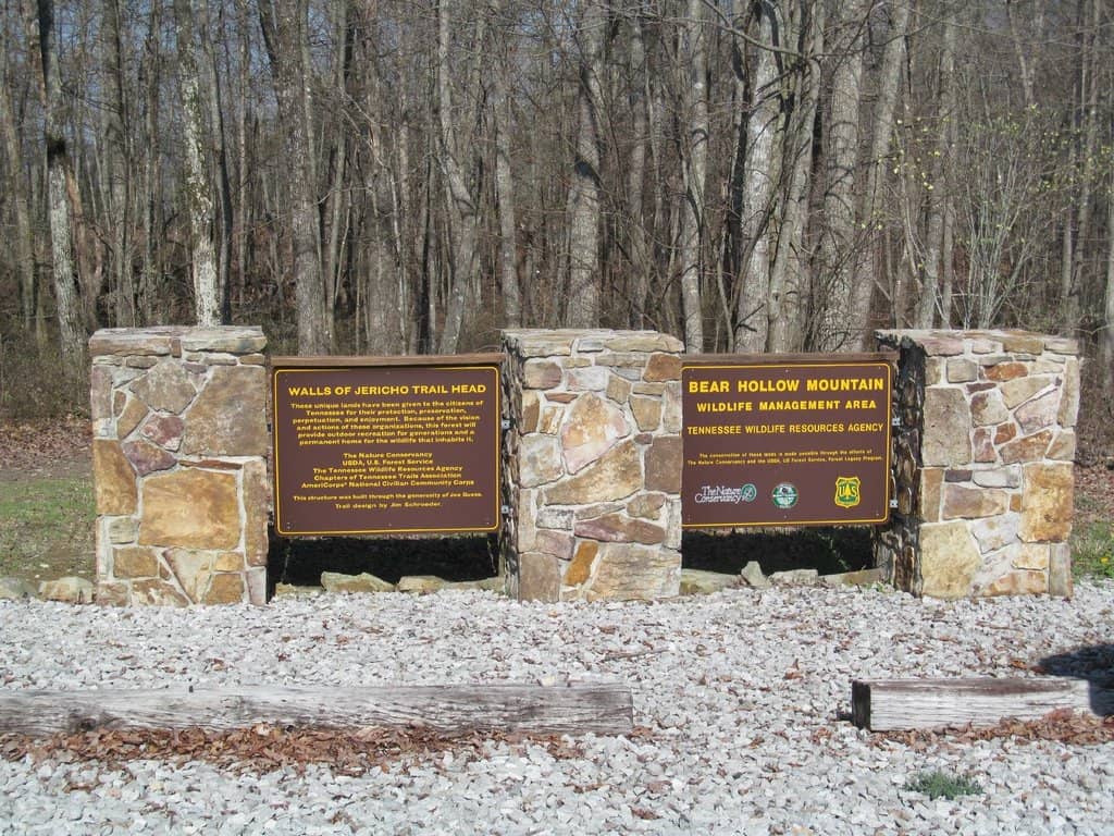 Cascading Waterfalls