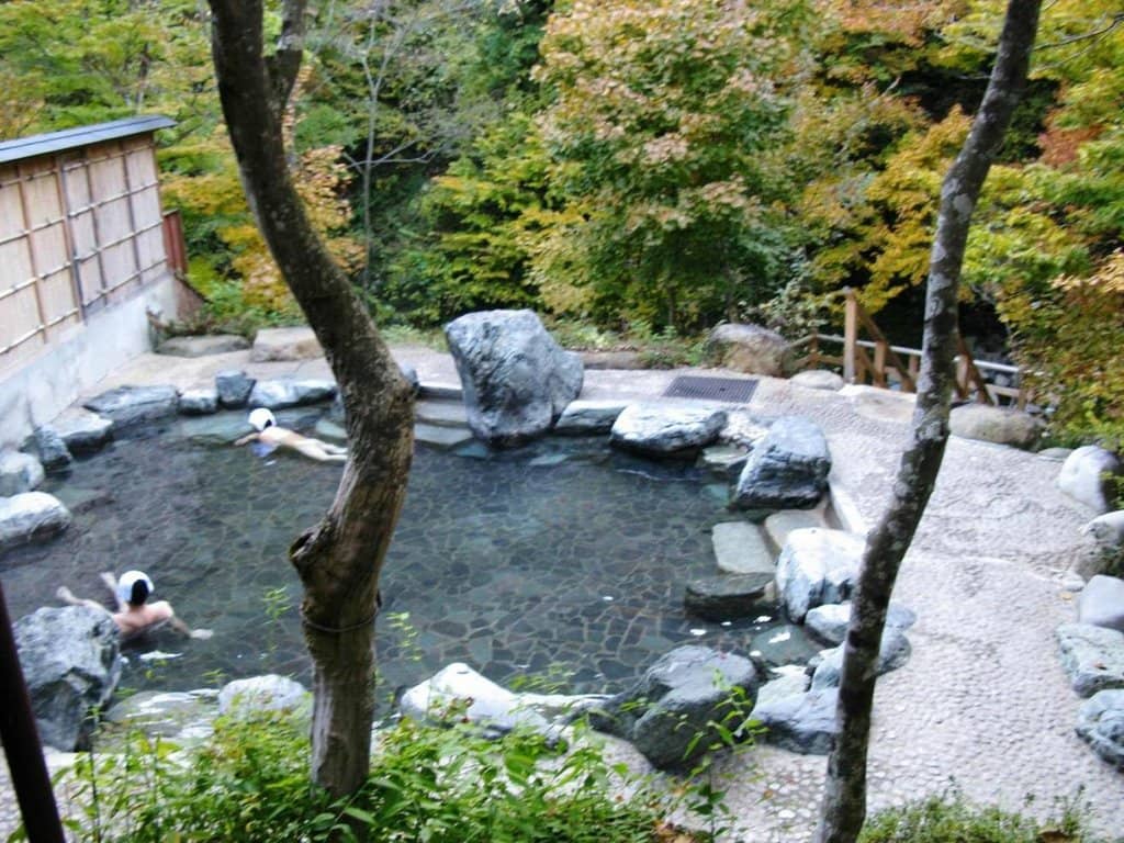 Traditional Ryokan Stay