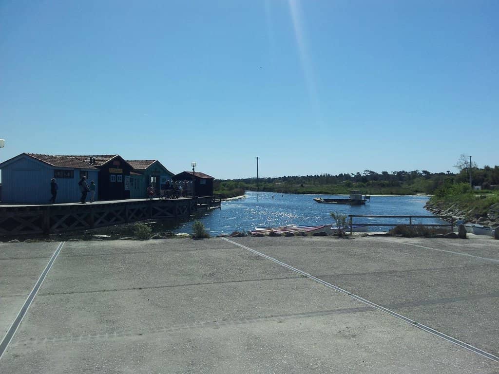 Local Market Delights