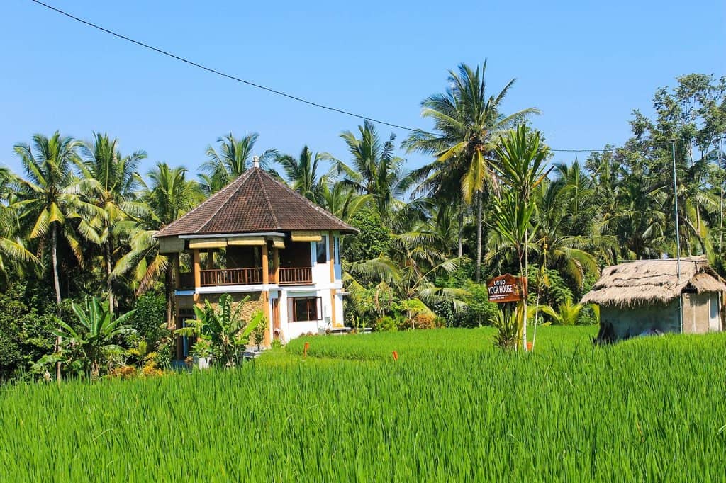 Authentic Balinese Instructors