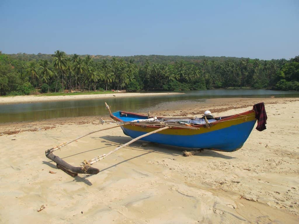 Dolphin Watching Tours