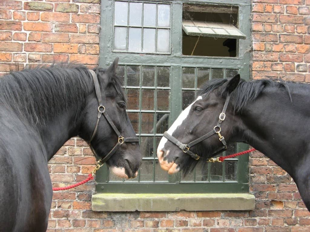 The Grand Erddig Hall