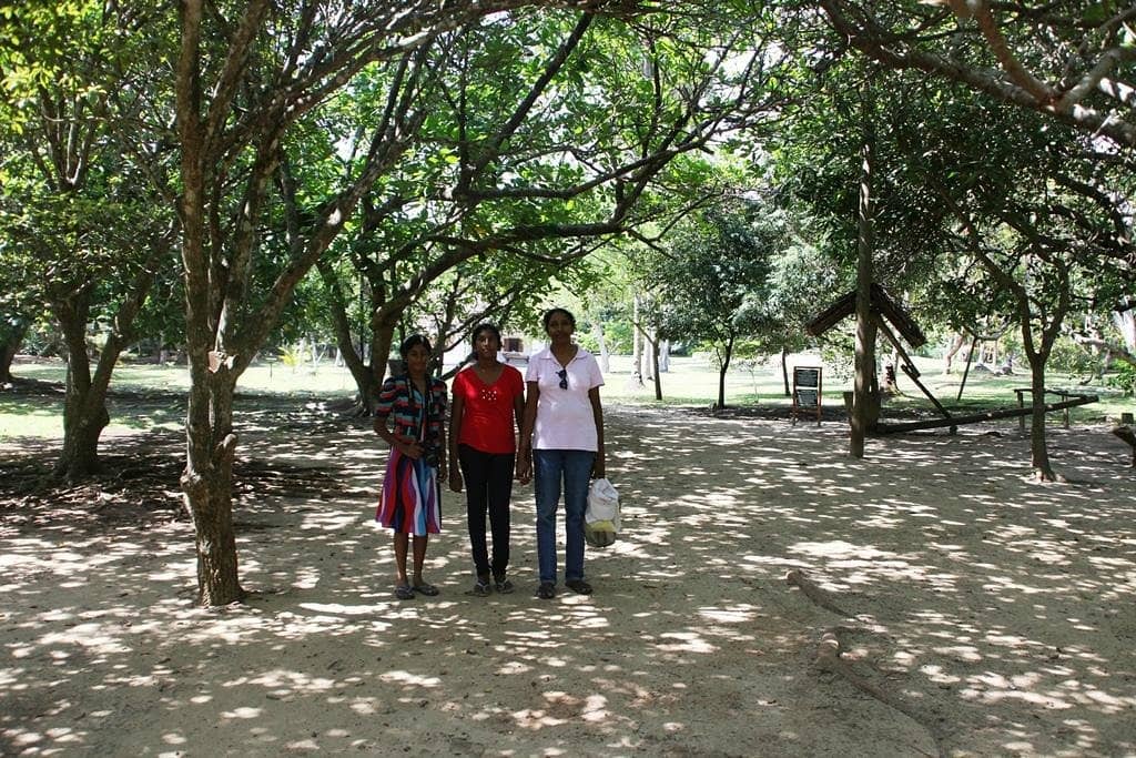 Traditional Village Artifacts