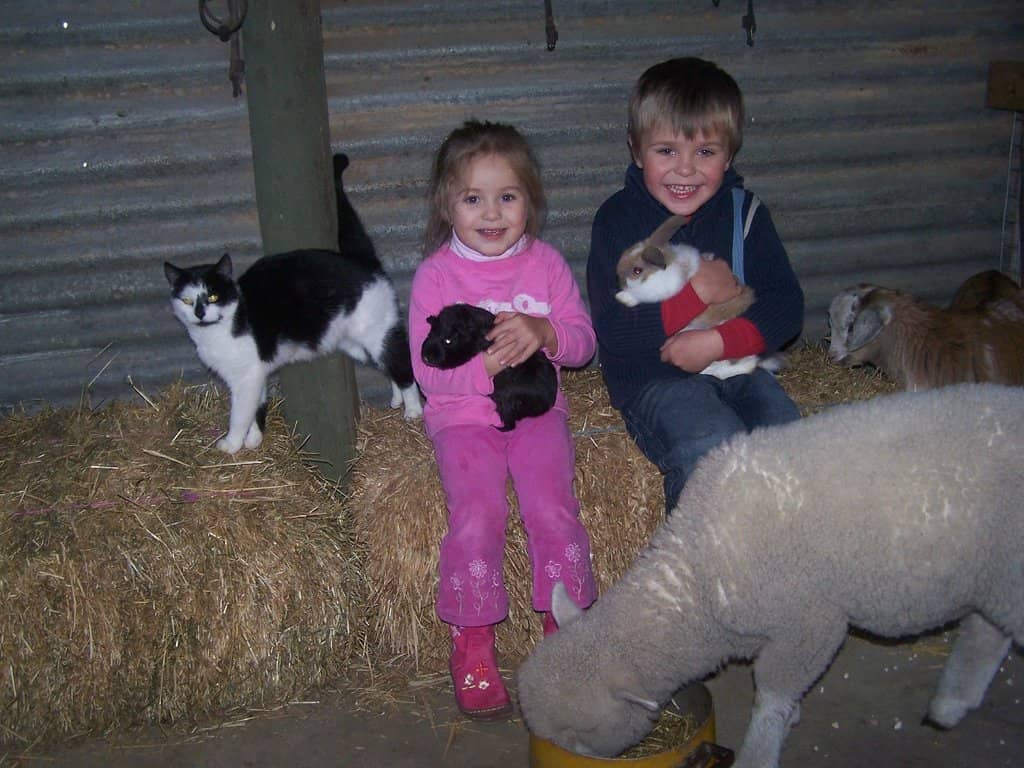 Archery & Rock Climbing