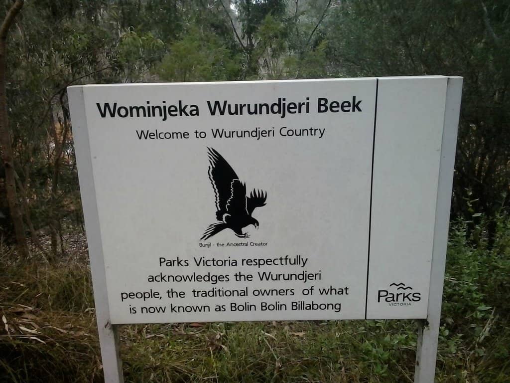 Yarra River Connection