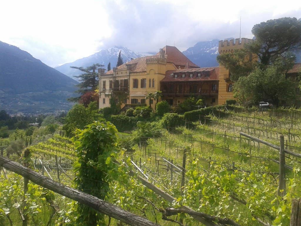 Wine Tasting Experience