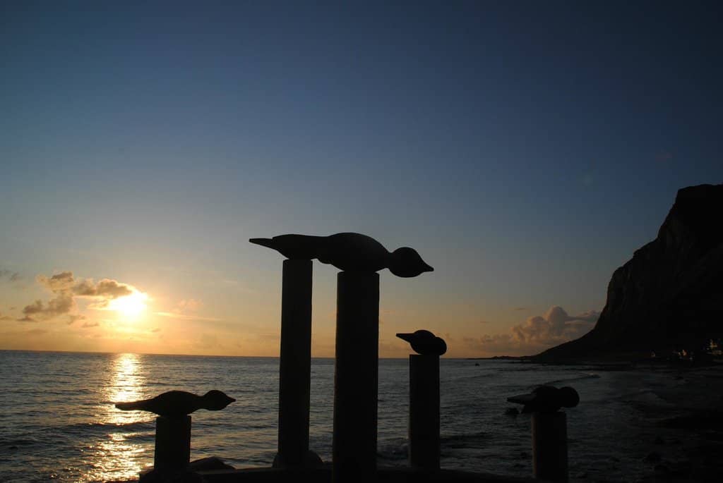 Cozy Cafe with Views