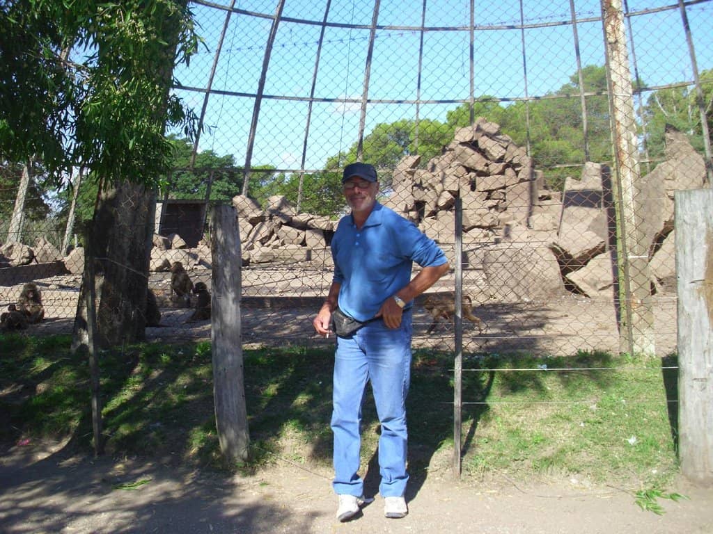 BBQ & Picnic Paradise