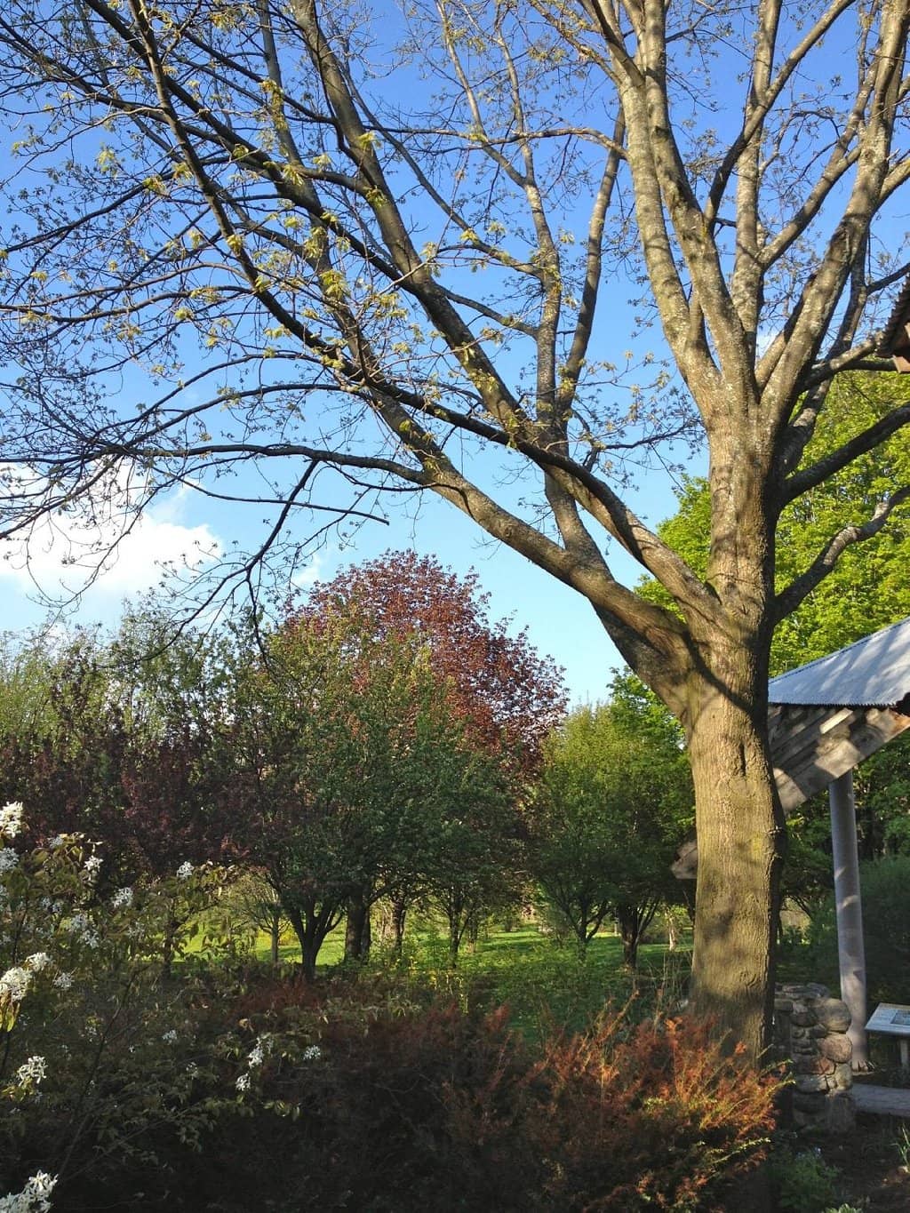 Scenic Stream and Bridge