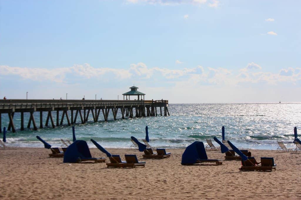 Underwater Marine Life