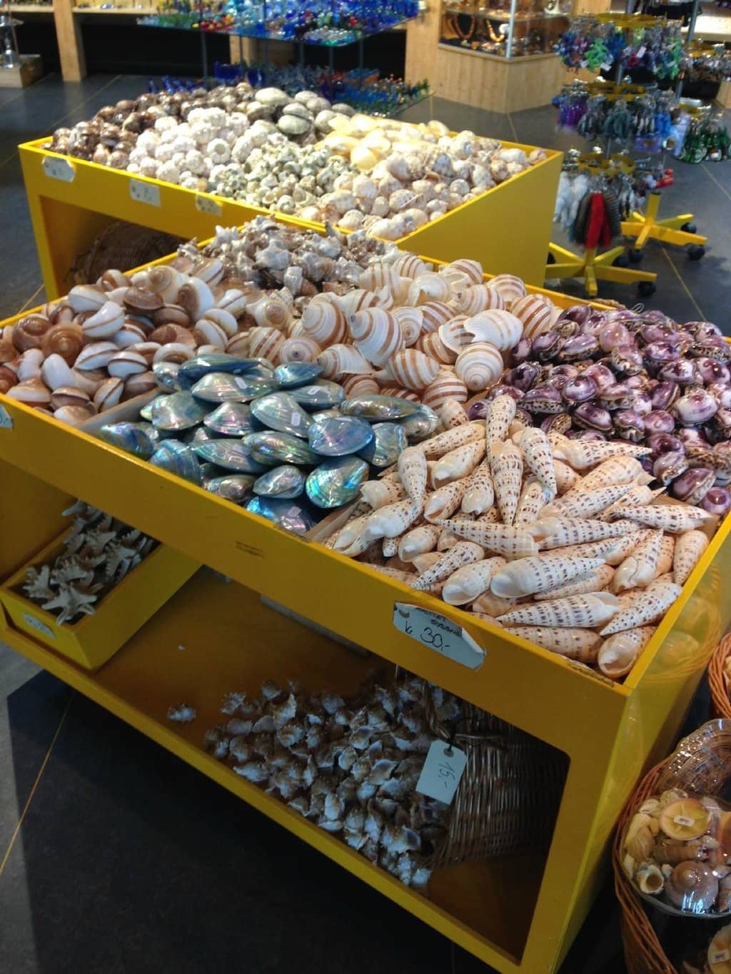 Interactive Touch Pool