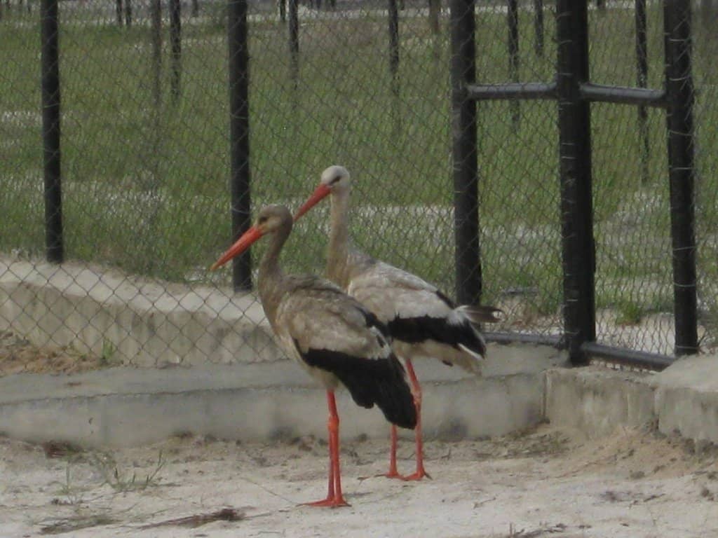 Splash-tastic Water Park