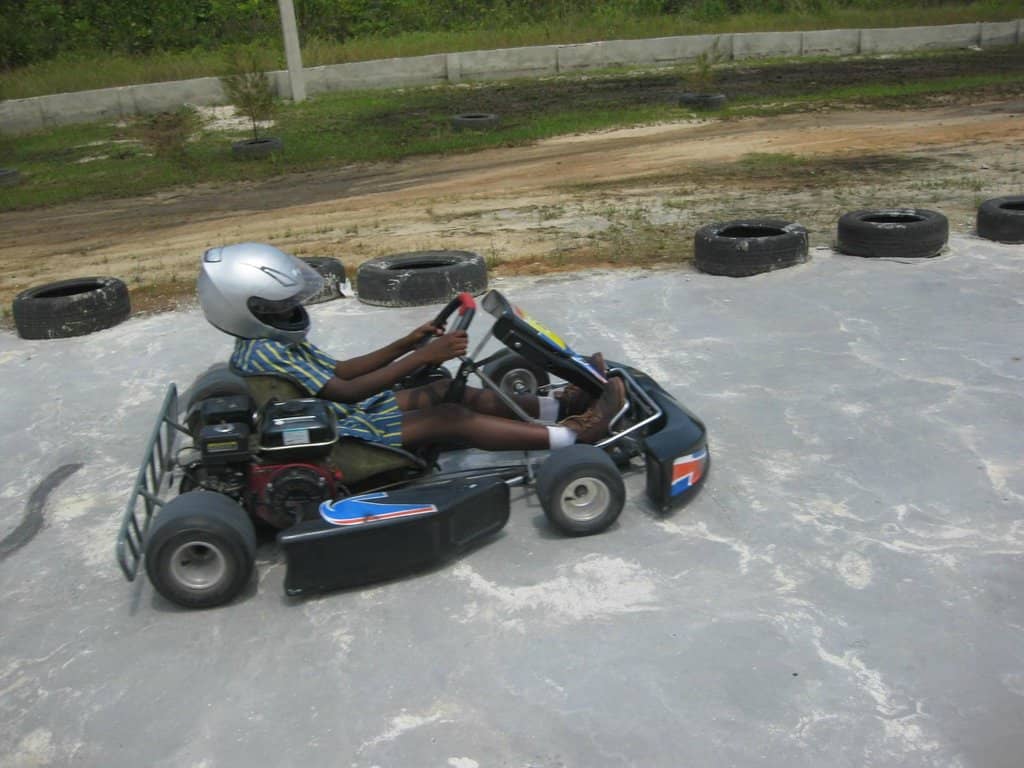 Serene Rainforest Environment