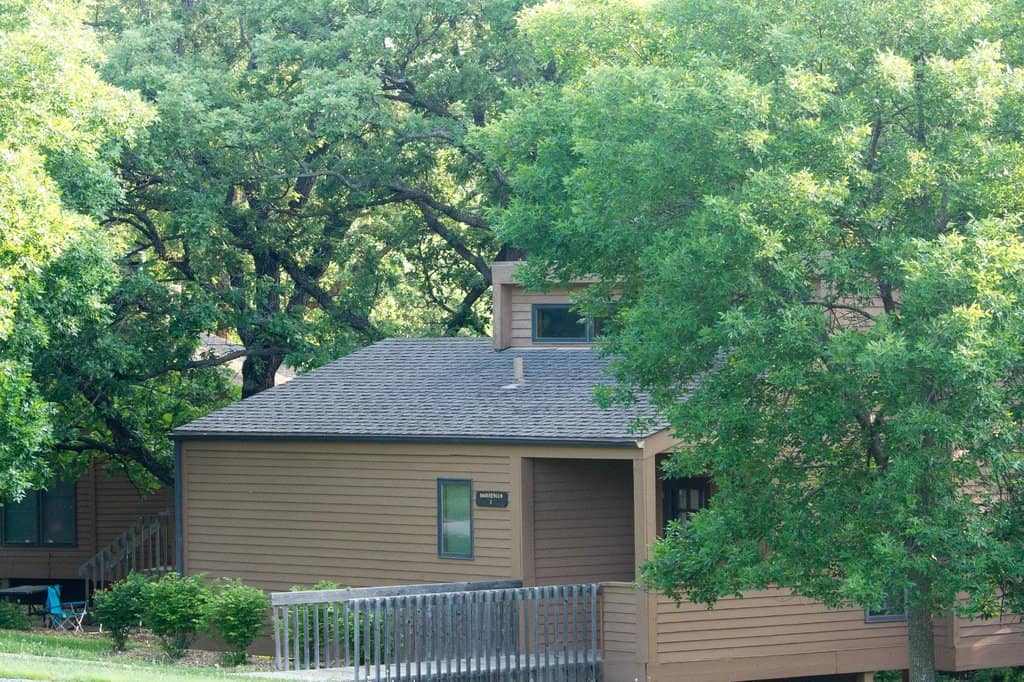 Observation Tower Views