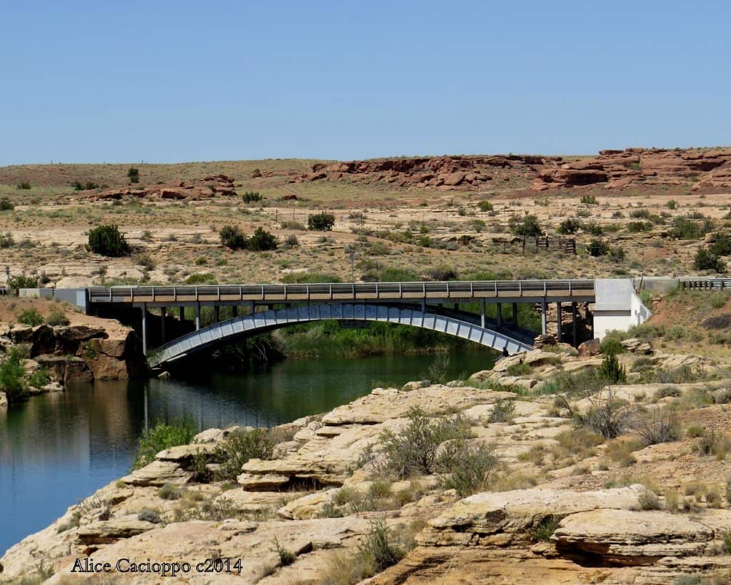 Paddleboard Paradise