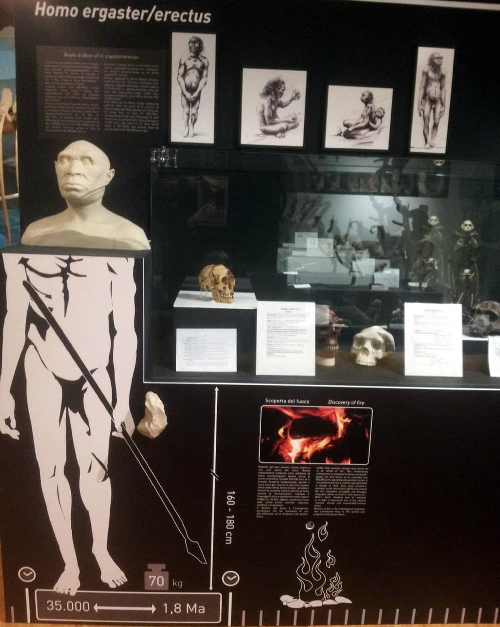 Ancient Egyptian Artifacts