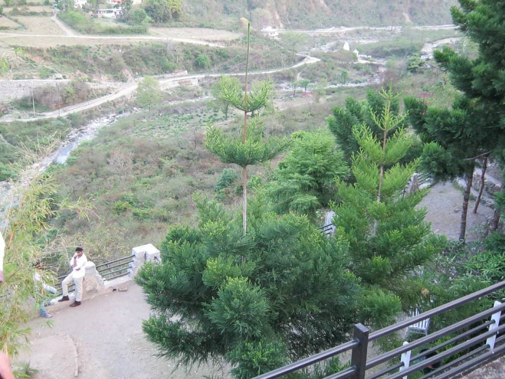 Orchard Cafe & Food Options