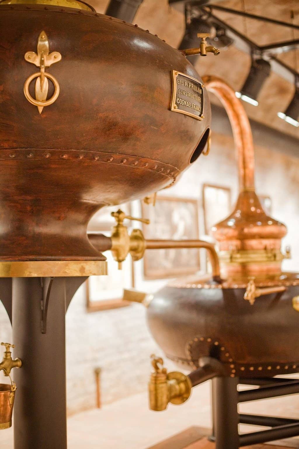 Cognac Tasting Experience