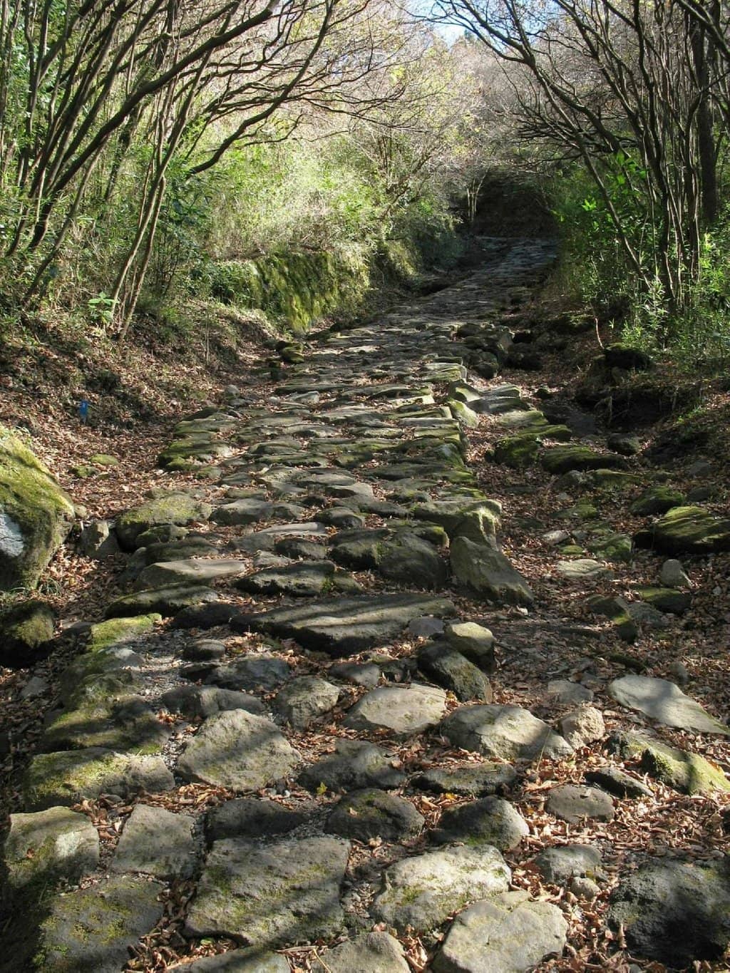 Amazake-Chaya Tea House