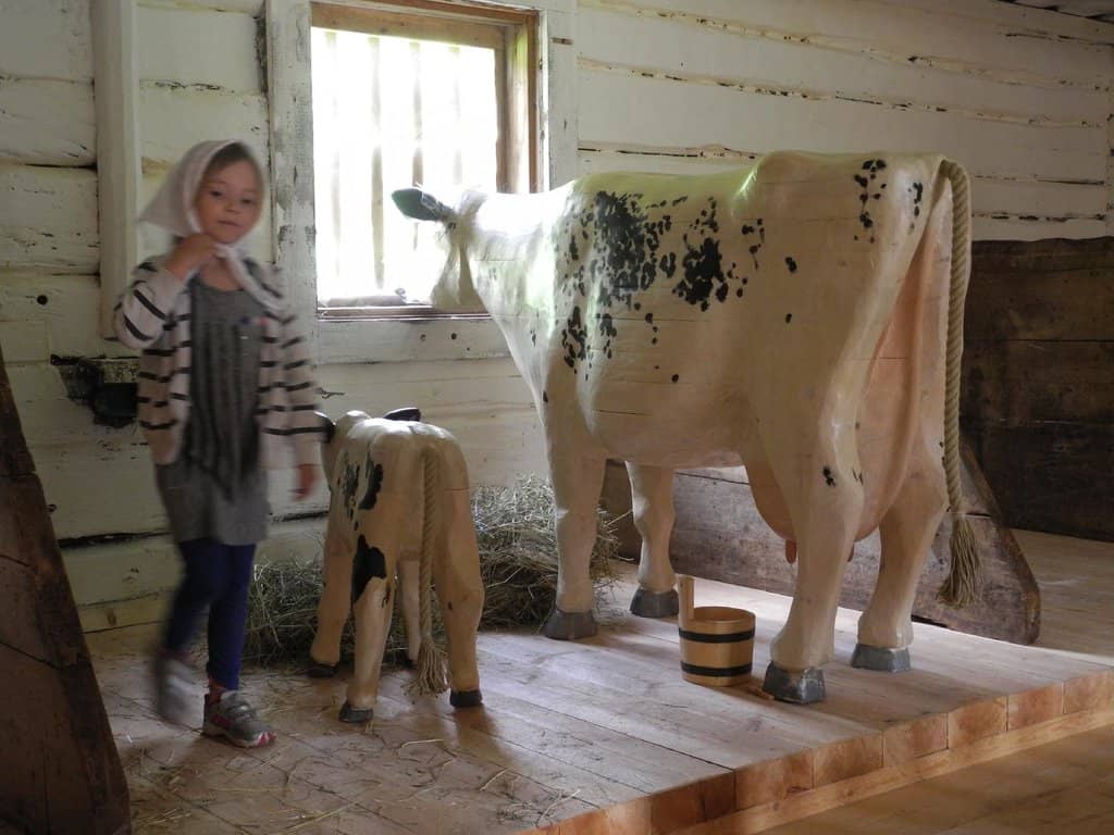 Västerbotten County Symbol