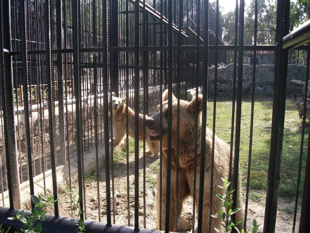 Picnic and Recreation Area