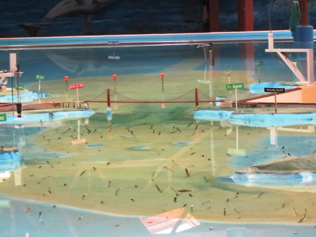 Bay Model Visitor Center (2026) – Best of TikTok, Instagram & Reddit ...