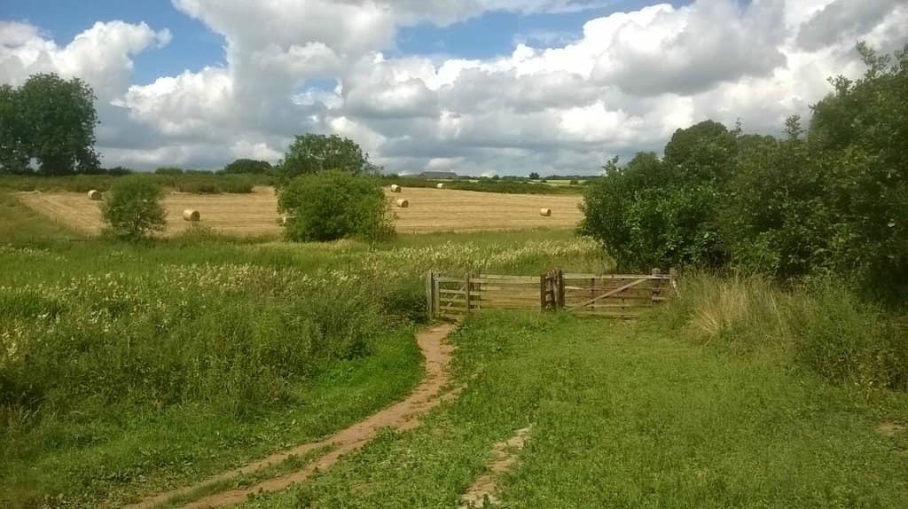 Children's Play Areas