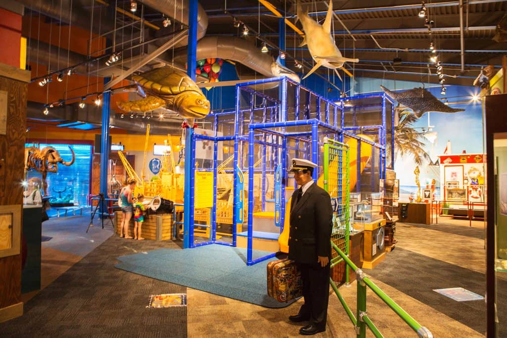 Rare Animal Skeletons