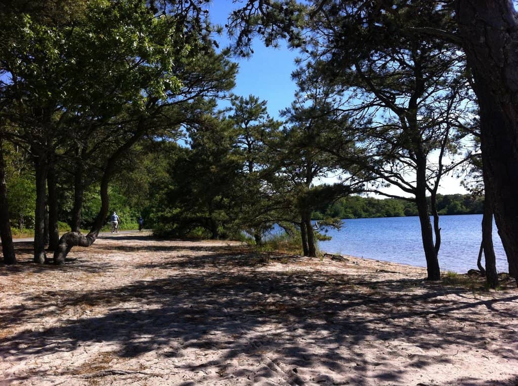 Bell's Neck Conservation Lands