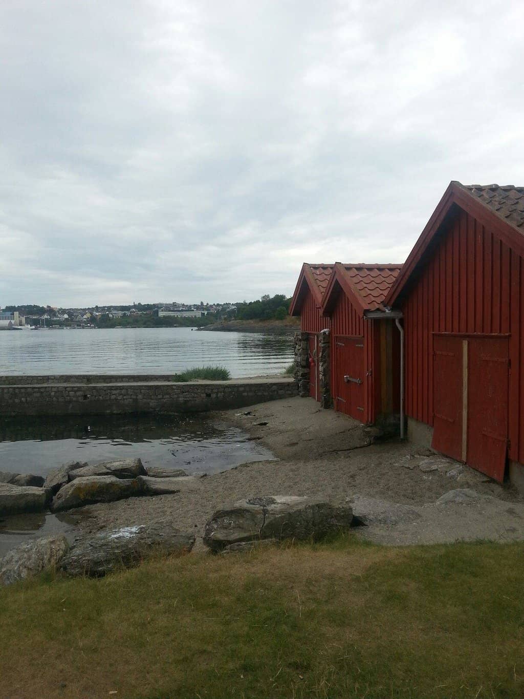 Summer Picnics & Grilling