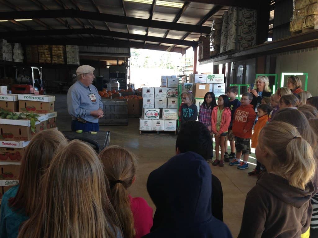 Seasonal Corn Maze & Pumpkin Patch