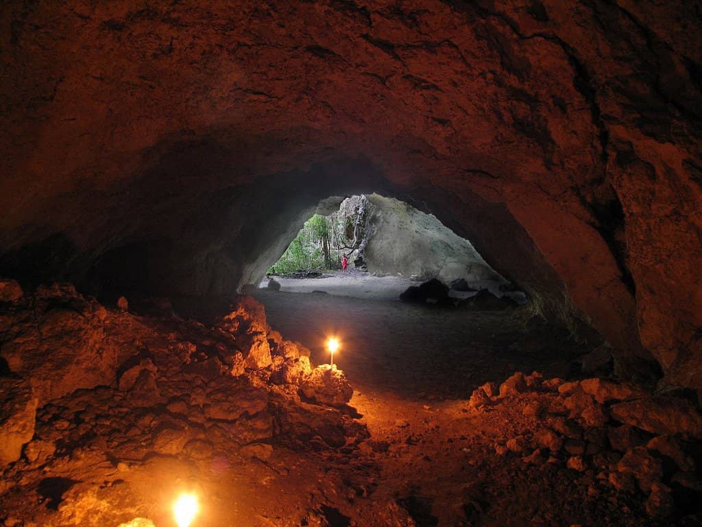 Authentic Village Experience