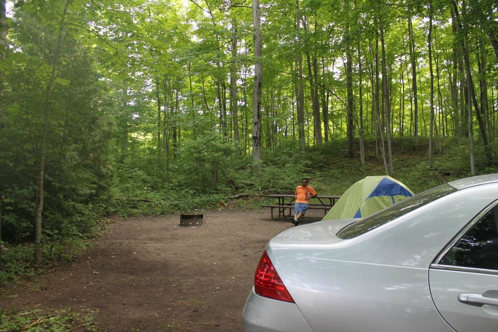 Salmon Run Spectacle