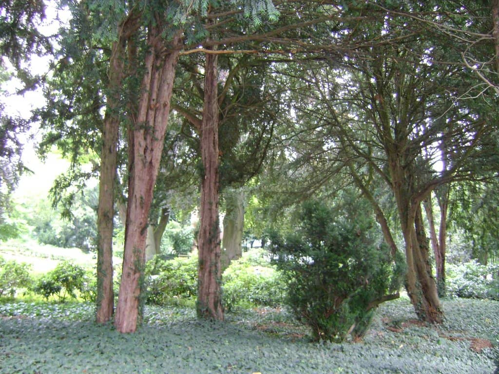 Adventure Playgrounds