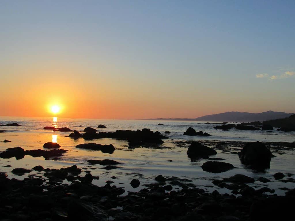 Scenic Coastal Trails