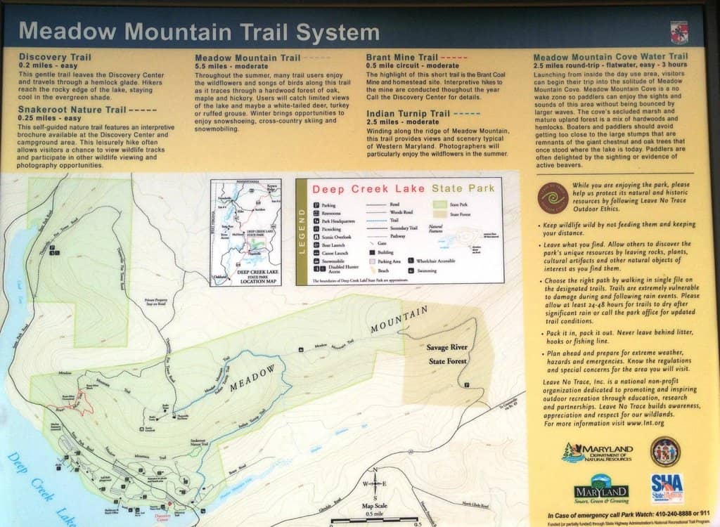 Aviary & Raptor Displays