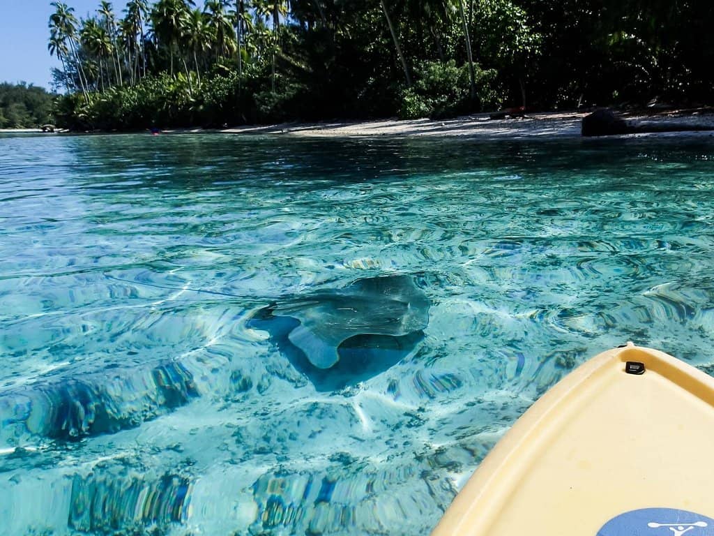 Coco Beach Restaurant