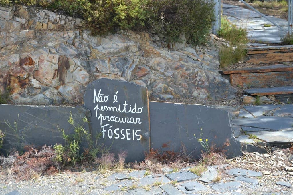 Informative Video Introduction