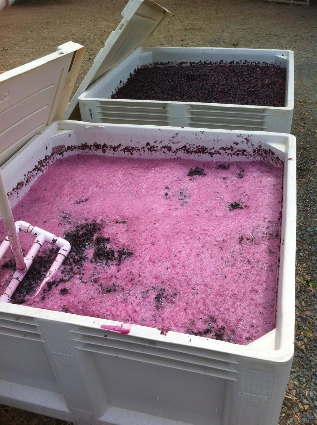 Award-Winning Barbera