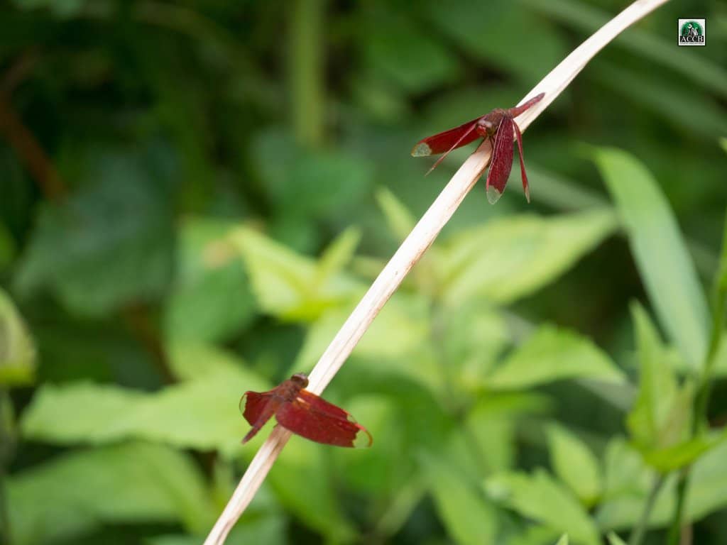 Knowledgeable and Caring Staff