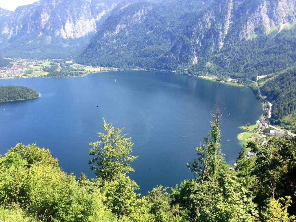 Vertical photo