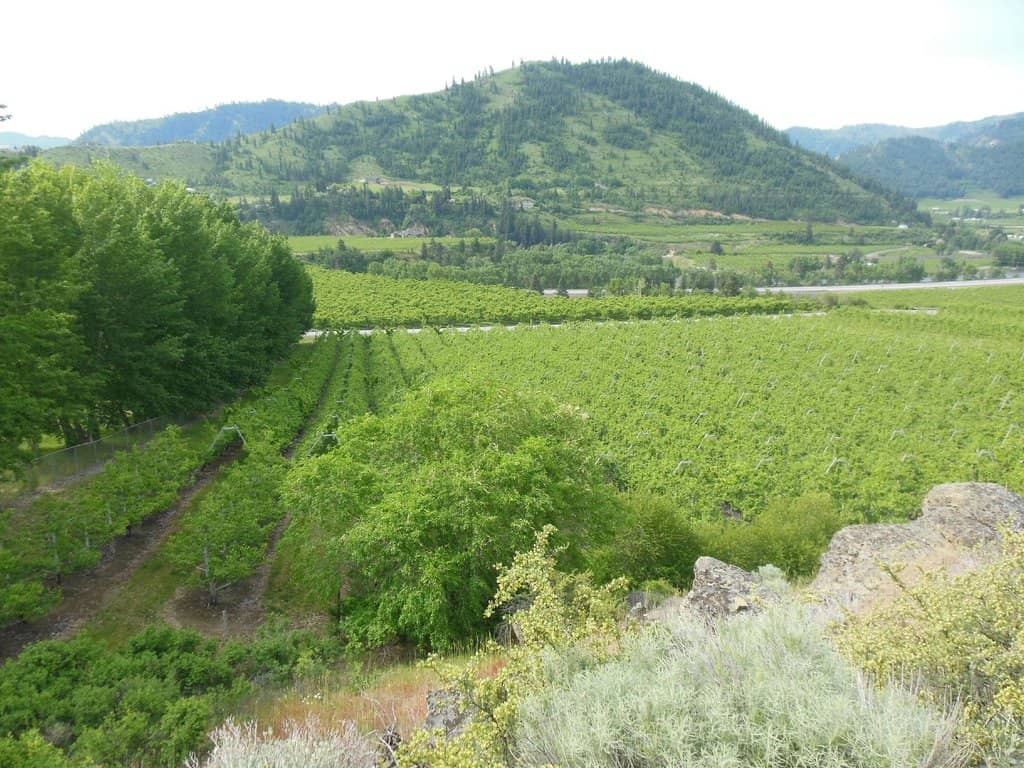 Rock Climbing Opportunities