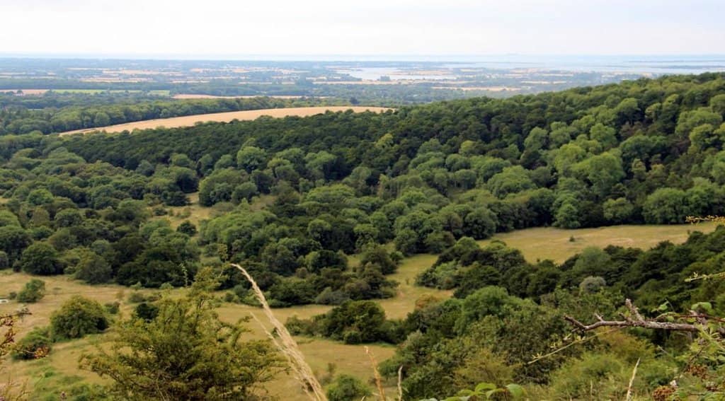 Bronze Age Burial Mounds