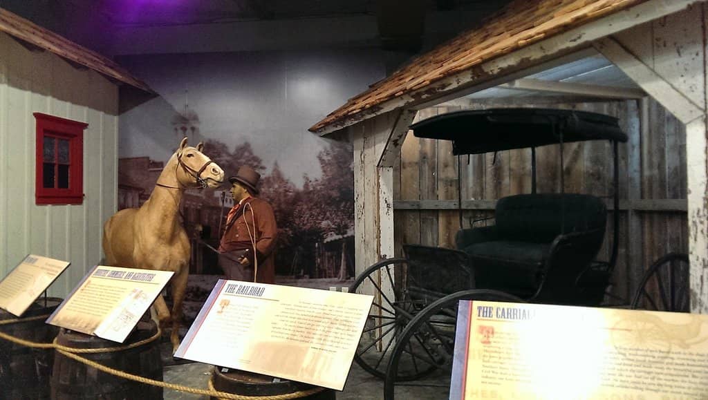 Interactive Museum Exhibits