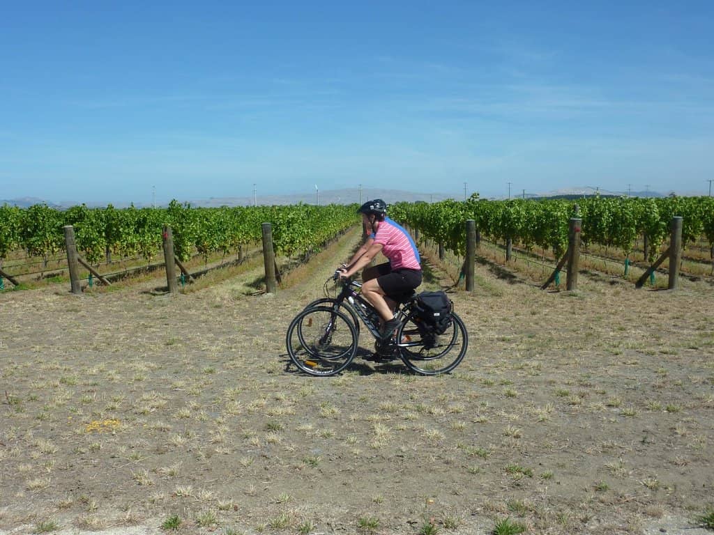 Mohaka River Farm Trails